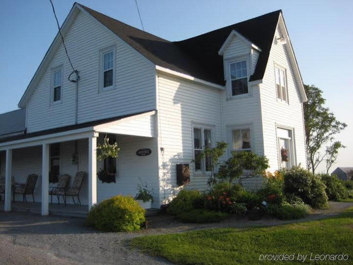 Moore'S Specialties Fundy Bay House Rental Gardner Creek Ngoại thất bức ảnh