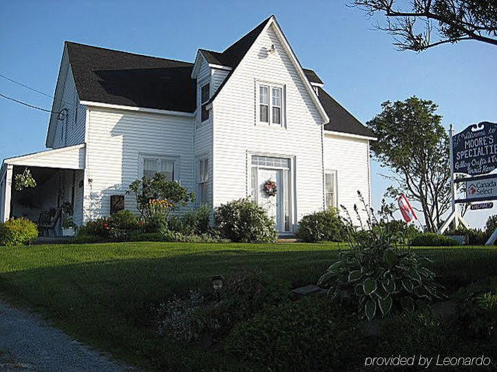 Moore'S Specialties Fundy Bay House Rental Gardner Creek Ngoại thất bức ảnh